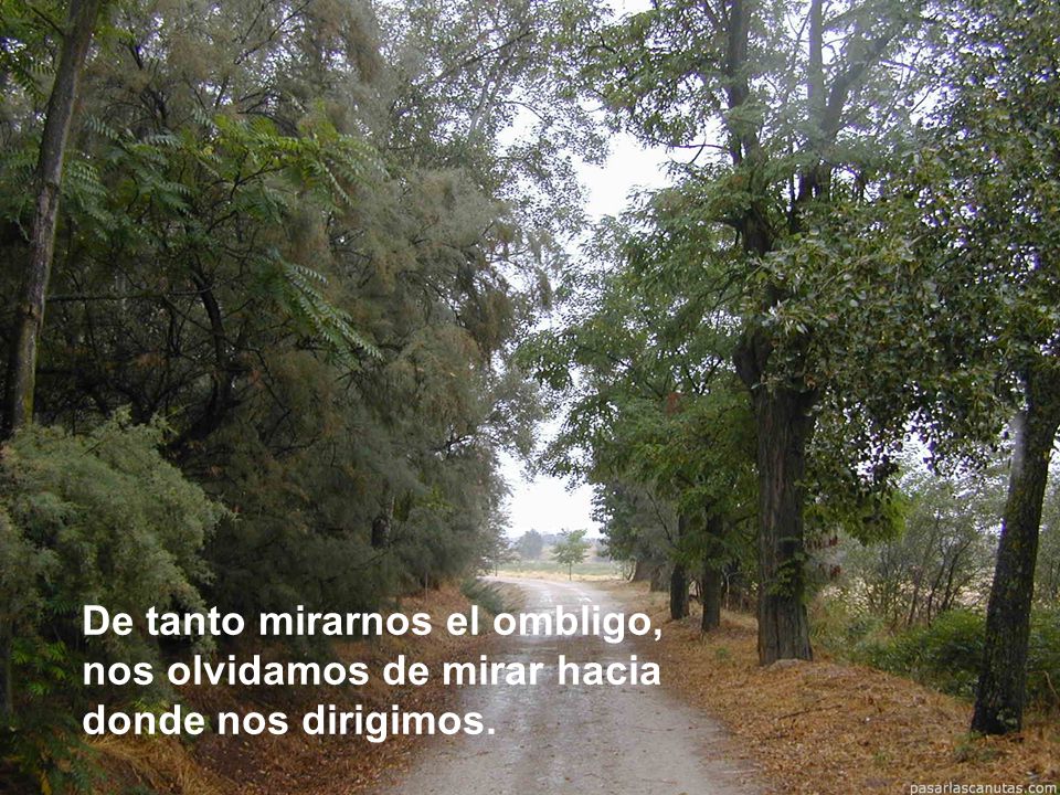 De tanto mirarnos el ombligo, nos olvidamos de mirar hacia donde nos dirigimos.