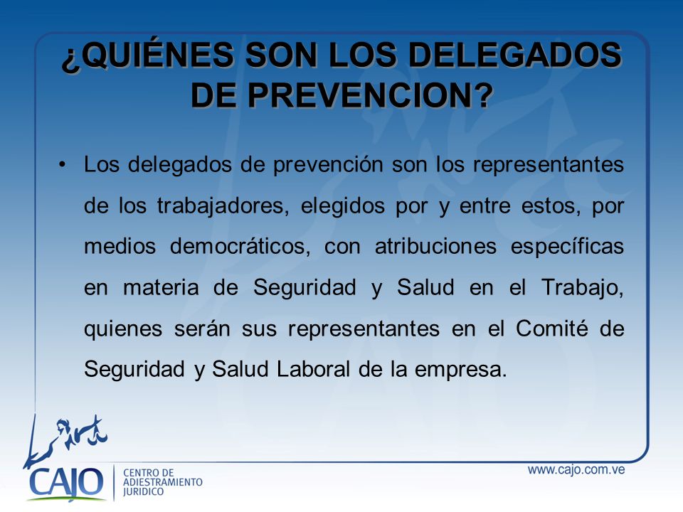 ¿QUIÉNES SON LOS DELEGADOS DE PREVENCION