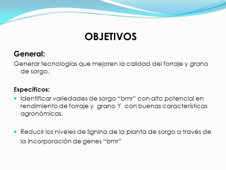 OBJETIVOS General: Generar tecnologías que mejoren la calidad del forraje y grano de sorgo. Específicos: