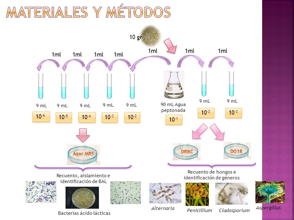 MATERIALES Y MÉTODOS 10 gr 1ml 1ml 1ml 1ml 1ml 1ml 1ml