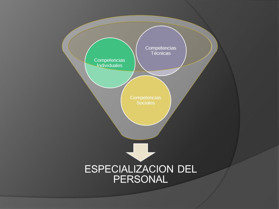 ESPECIALIZACION DEL PERSONAL