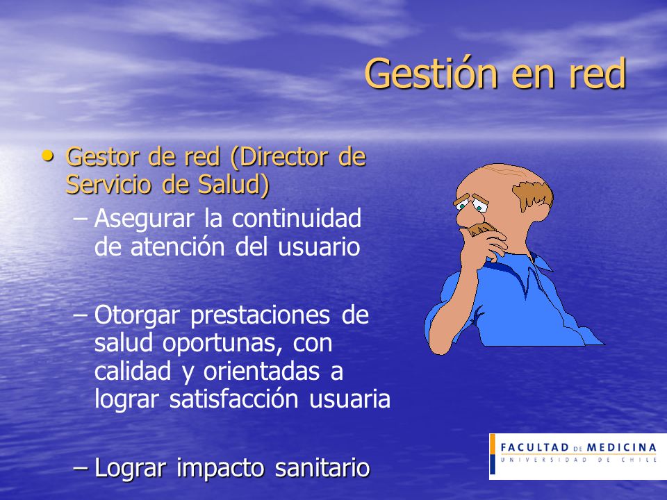 Gestión en red Gestor de red (Director de Servicio de Salud)