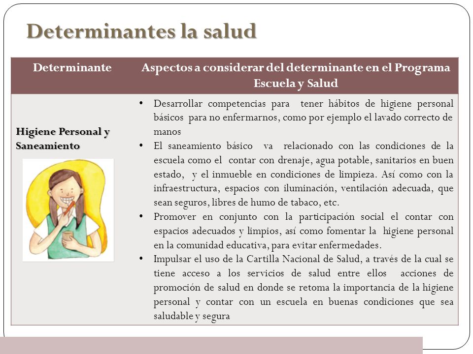Aspectos a considerar del determinante en el Programa Escuela y Salud
