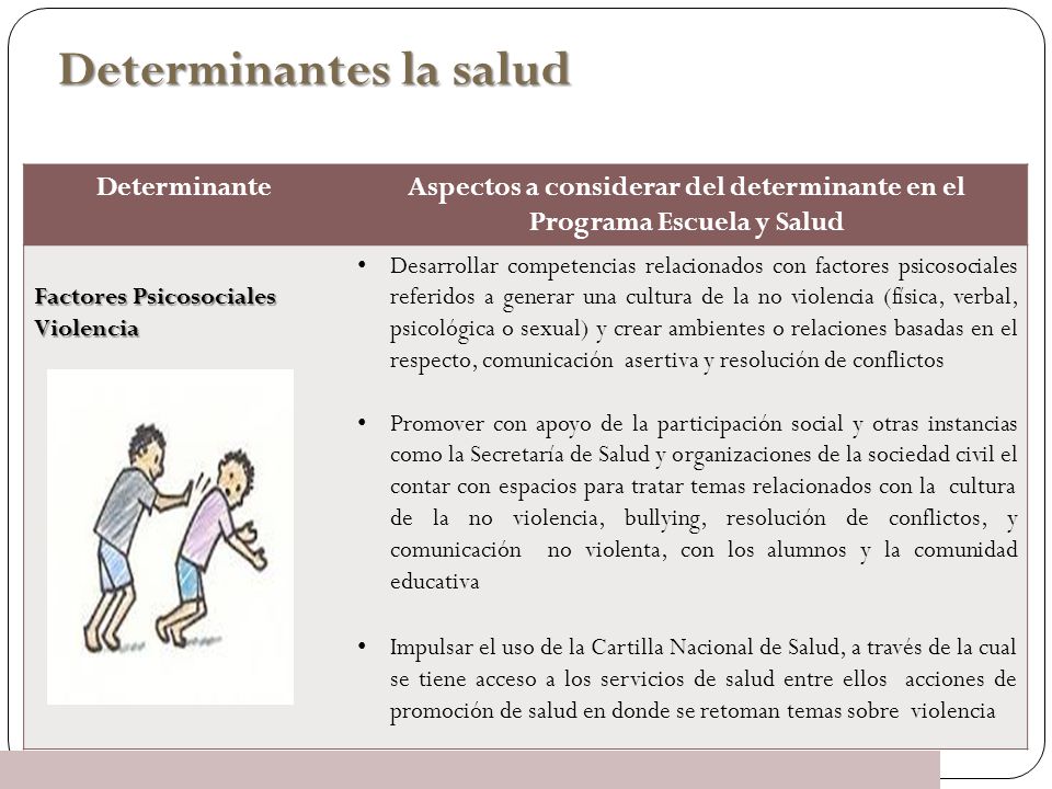 Aspectos a considerar del determinante en el Programa Escuela y Salud
