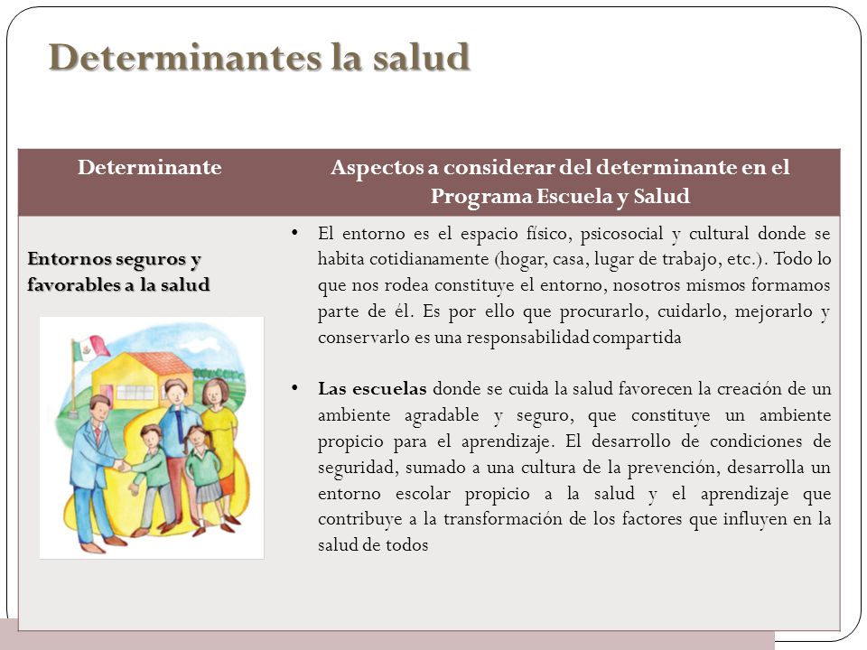 Aspectos a considerar del determinante en el Programa Escuela y Salud
