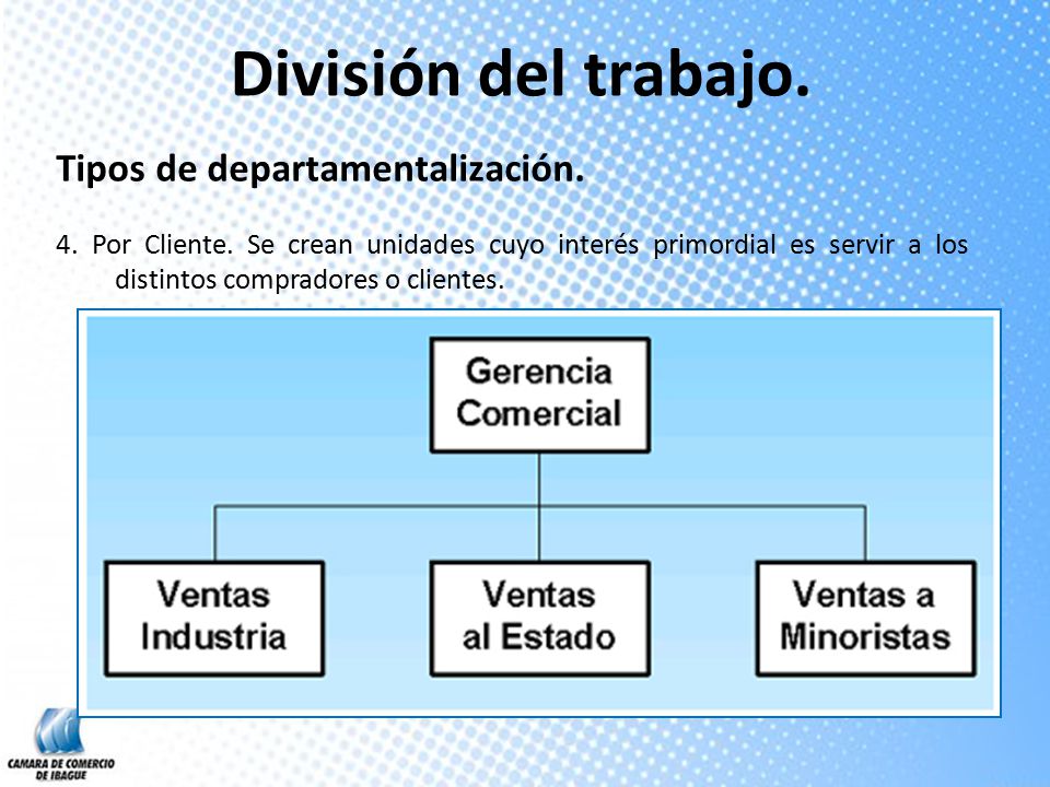 División del trabajo. Tipos de departamentalización.