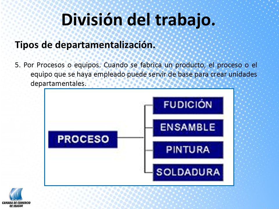 División del trabajo. Tipos de departamentalización.