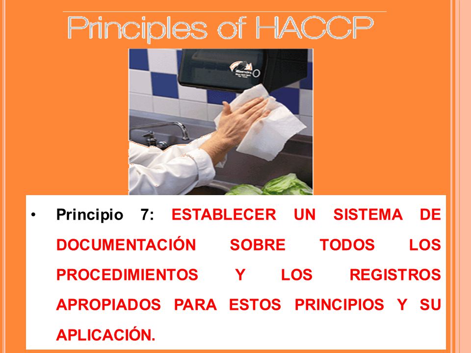 Principio 7: ESTABLECER UN SISTEMA DE DOCUMENTACIÓN SOBRE TODOS LOS PROCEDIMIENTOS Y LOS REGISTROS APROPIADOS PARA ESTOS PRINCIPIOS Y SU APLICACIÓN.