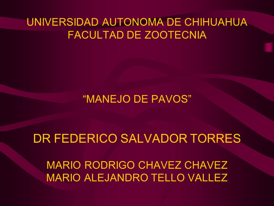 UNIVERSIDAD AUTONOMA DE CHIHUAHUA FACULTAD DE ZOOTECNIA MANEJO DE PAVOS DR FEDERICO SALVADOR TORRES MARIO RODRIGO CHAVEZ CHAVEZ MARIO ALEJANDRO TELLO VALLEZ