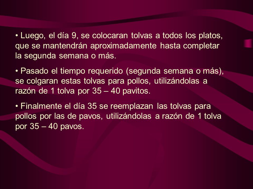 Luego, el día 9, se colocaran tolvas a todos los platos, que se mantendrán aproximadamente hasta completar la segunda semana o más.