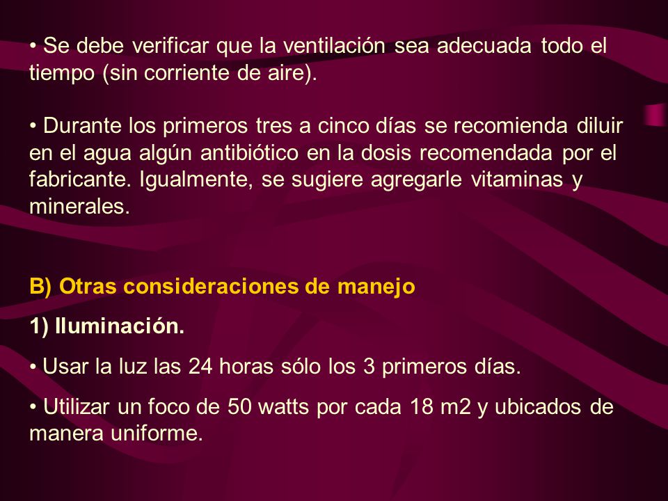 Se debe verificar que la ventilación sea adecuada todo el tiempo (sin corriente de aire).