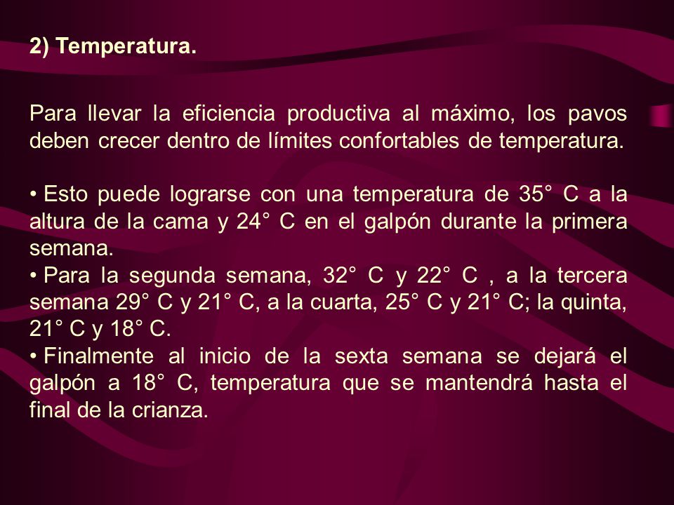 2) Temperatura. Para llevar la eficiencia productiva al máximo, los pavos deben crecer dentro de límites confortables de temperatura.