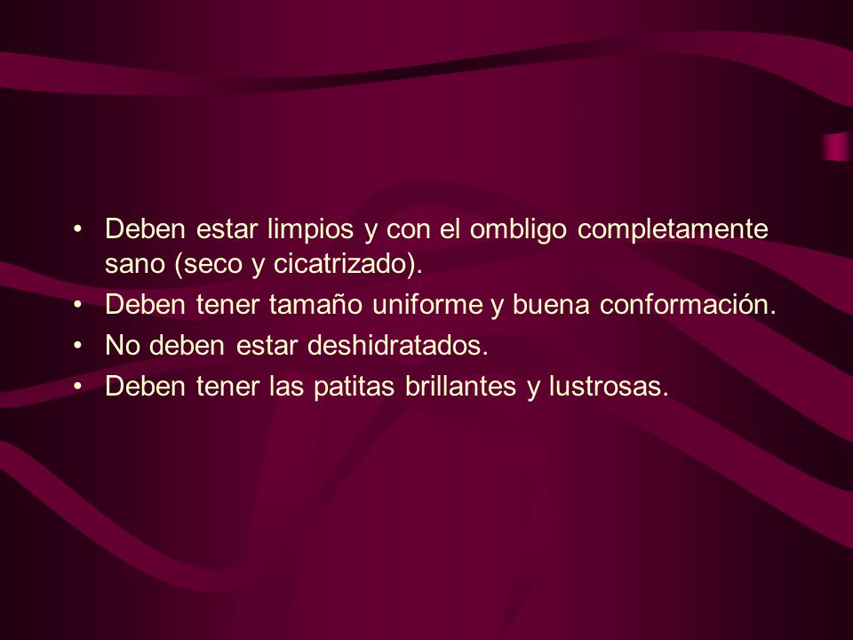 Deben estar limpios y con el ombligo completamente sano (seco y cicatrizado).