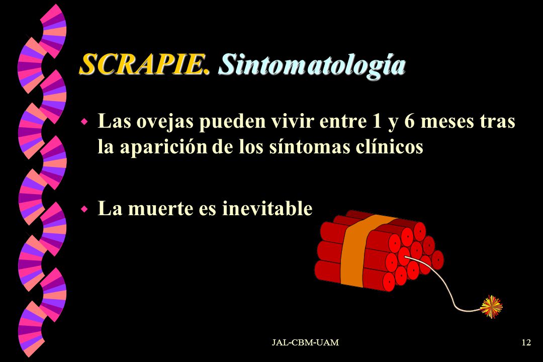 SCRAPIE. Sintomatología