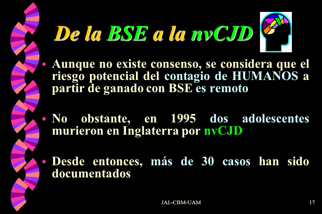 De la BSE a la nvCJD Aunque no existe consenso, se considera que el riesgo potencial del contagio de HUMANOS a partir de ganado con BSE es remoto.