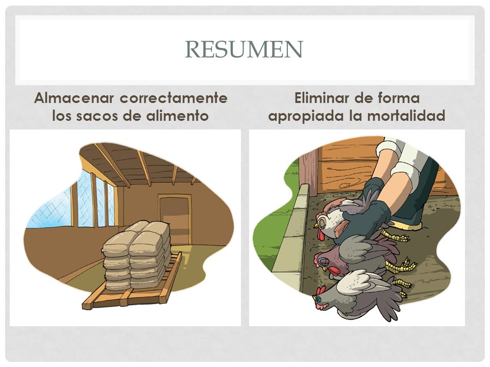 resumen Almacenar correctamente los sacos de alimento