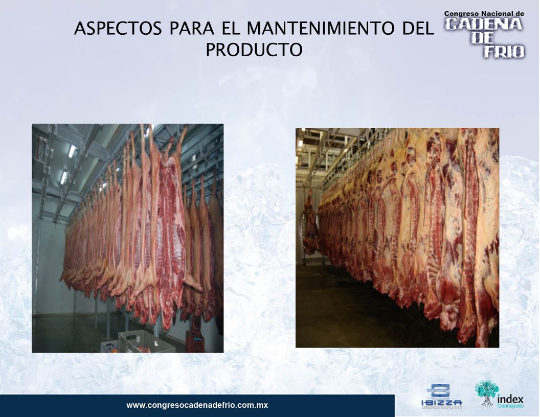 ASPECTOS PARA EL MANTENIMIENTO DEL PRODUCTO