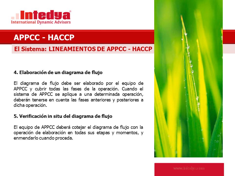 APPCC - HACCP El Sistema: LINEAMIENTOS DE APPCC - HACCP QUIÉNES SOMOS