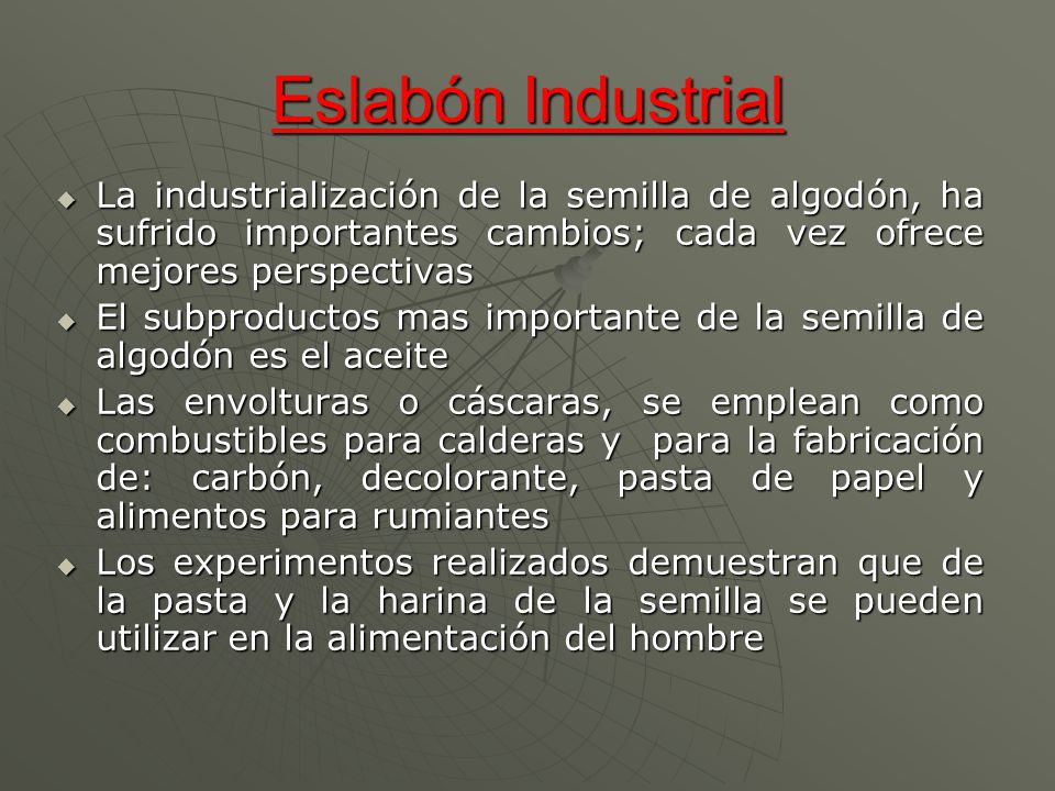 Eslabón Industrial La industrialización de la semilla de algodón, ha sufrido importantes cambios; cada vez ofrece mejores perspectivas.