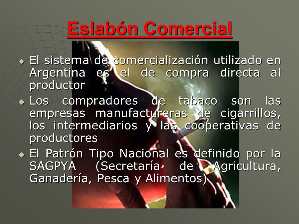 Eslabón Comercial El sistema de comercialización utilizado en Argentina es el de compra directa al productor.