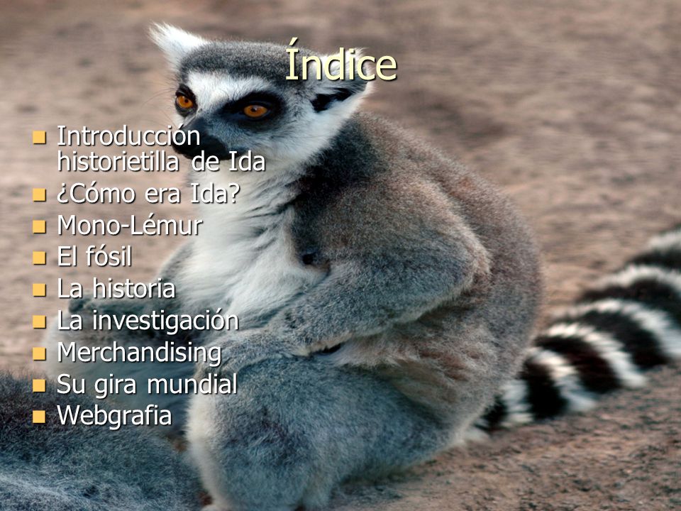 Índice Introducción historietilla de Ida ¿Cómo era Ida Mono-Lémur