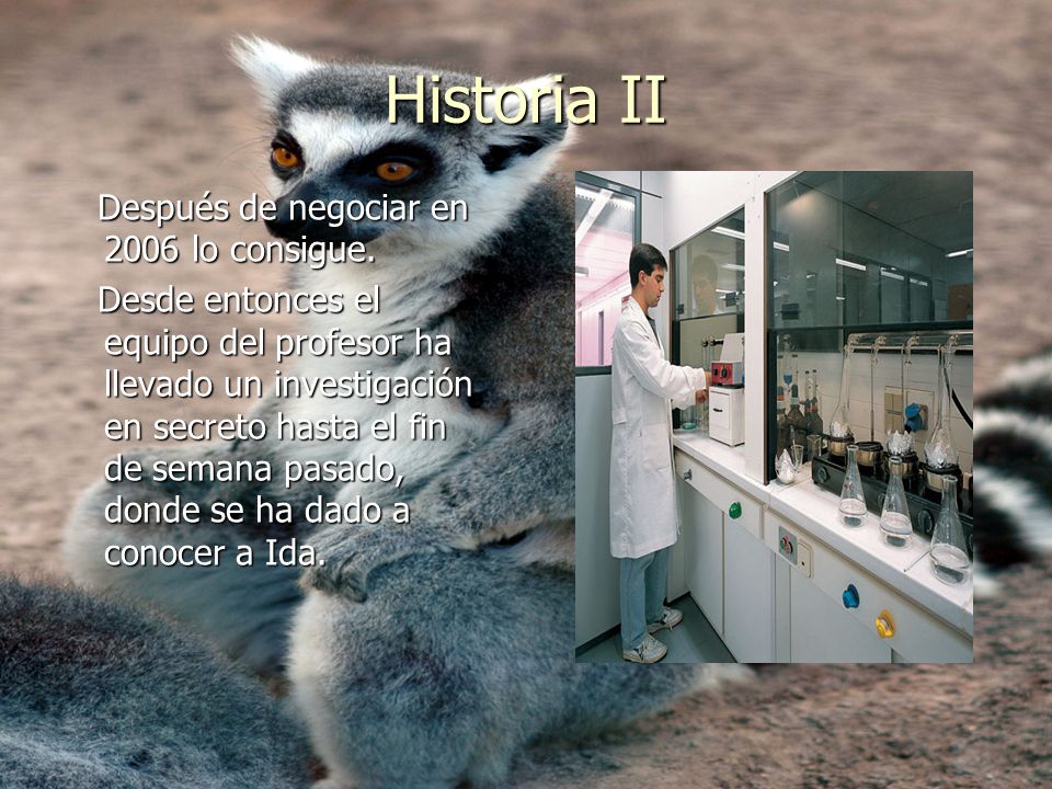 Historia II Después de negociar en 2006 lo consigue.