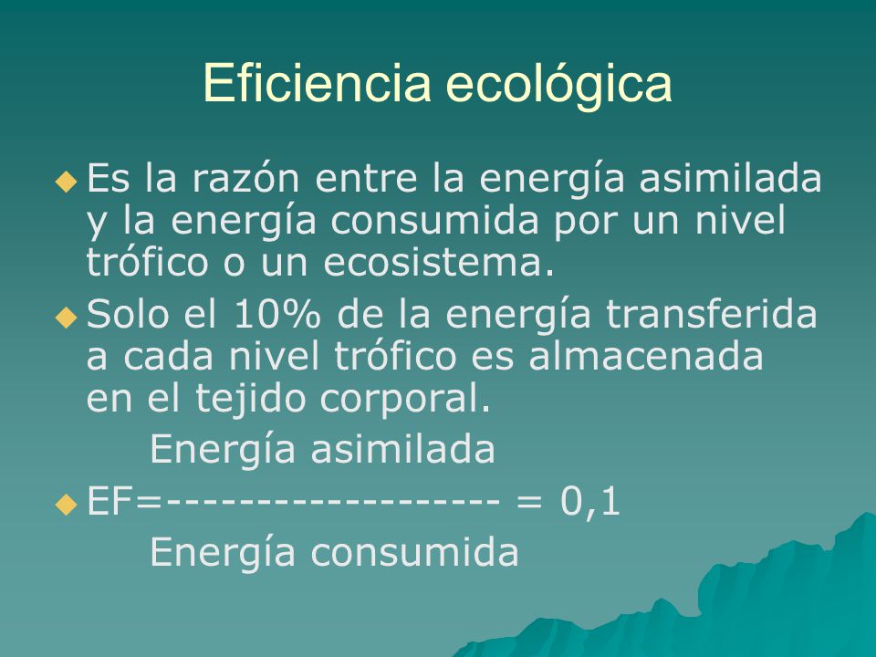 Eficiencia ecológica Es la razón entre la energía asimilada y la energía consumida por un nivel trófico o un ecosistema.