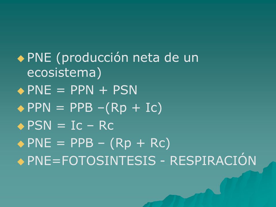 PNE (producción neta de un ecosistema)