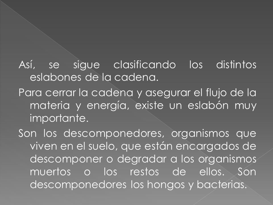 Así, se sigue clasificando los distintos eslabones de la cadena.