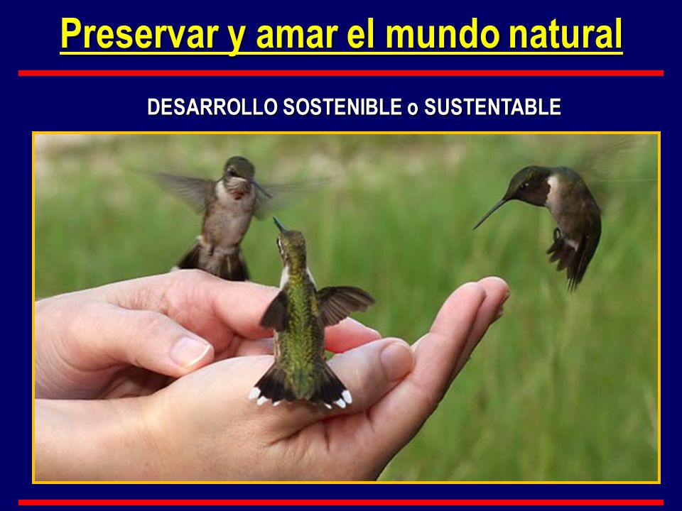 Preservar y amar el mundo natural DESARROLLO SOSTENIBLE o SUSTENTABLE