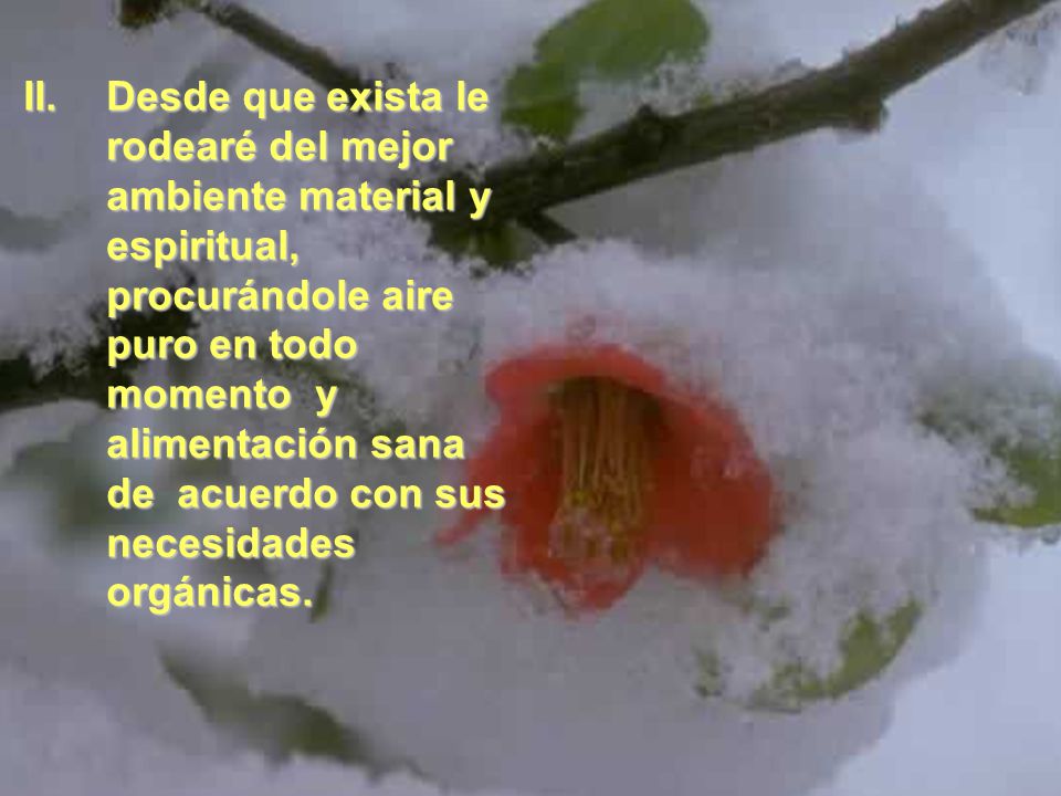 Desde que exista le rodearé del mejor ambiente material y espiritual, procurándole aire puro en todo momento y alimentación sana de acuerdo con sus necesidades orgánicas.