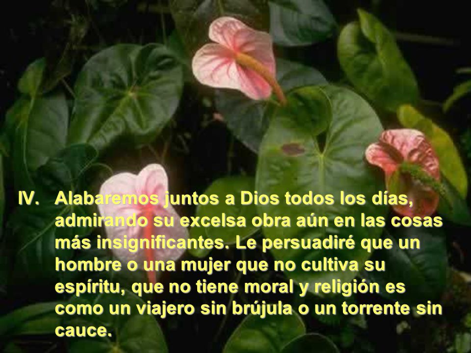 Alabaremos juntos a Dios todos los días, admirando su excelsa obra aún en las cosas más insignificantes.