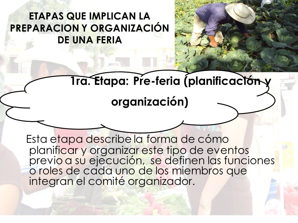 ETAPAS QUE IMPLICAN LA PREPARACION Y ORGANIZACIÓN DE UNA FERIA