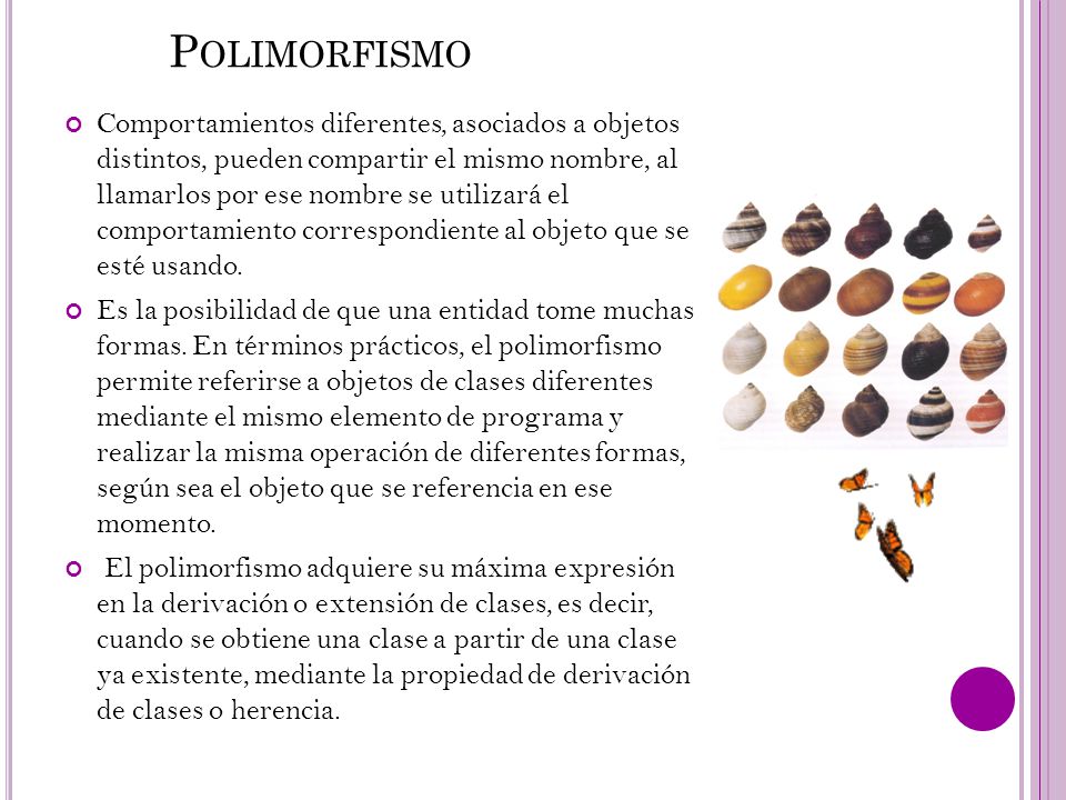 Polimorfismo