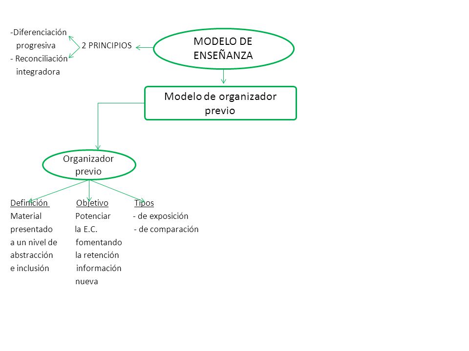 Modelo de organizador previo
