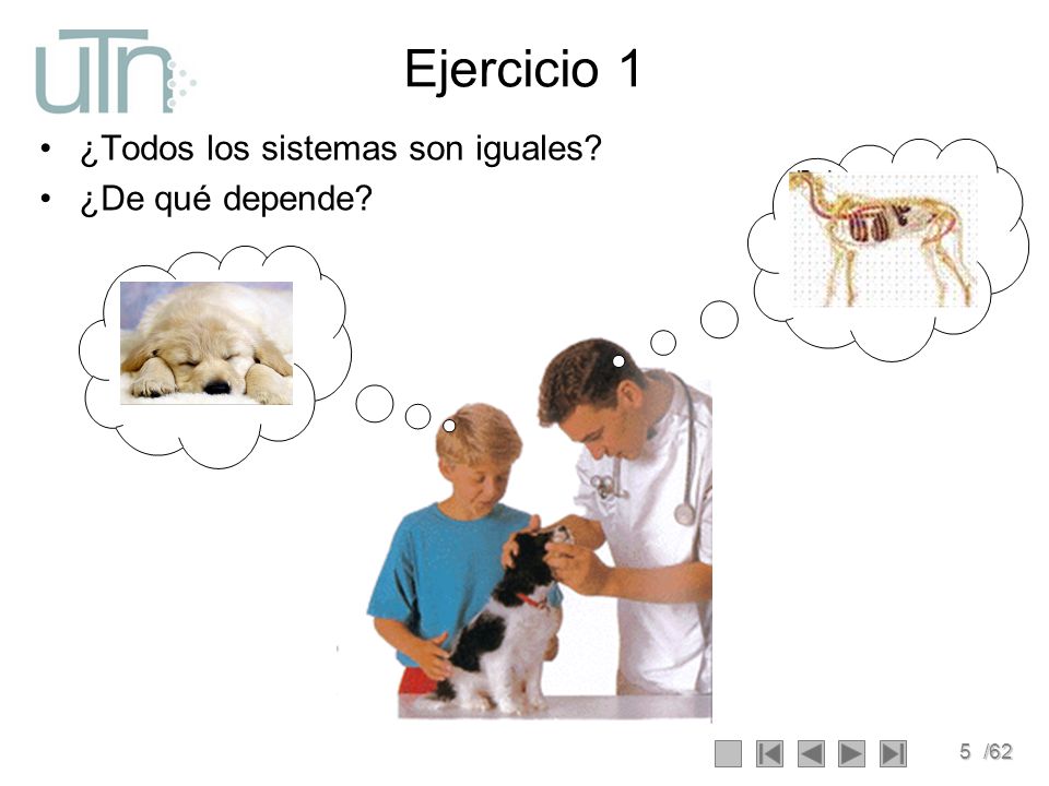 Ejercicio 1 ¿Todos los sistemas son iguales ¿De qué depende