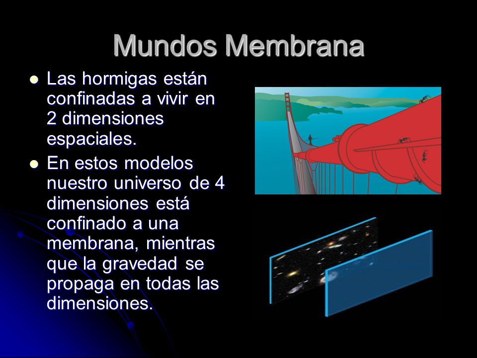 Mundos Membrana Las hormigas están confinadas a vivir en 2 dimensiones espaciales.