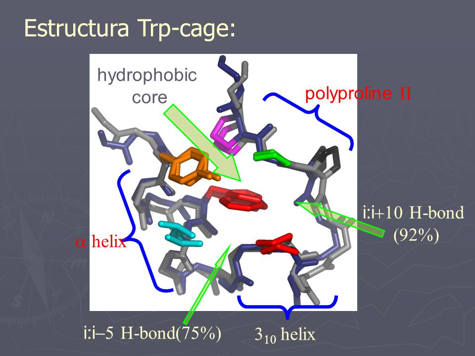 Estructura Trp-cage: hydrophobic core polyproline II i:i+10 H-bond