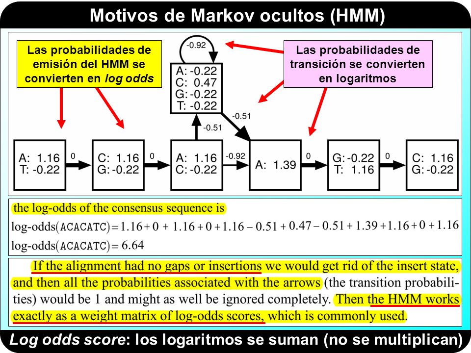 Log odds score: los logaritmos se suman (no se multiplican)