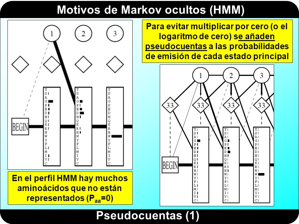 Para evitar multiplicar por cero (o el logaritmo de cero) se añaden pseudocuentas a las probabilidades de emisión de cada estado principal