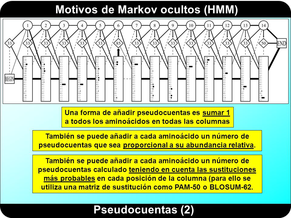 Una forma de añadir pseudocuentas es sumar 1 a todos los aminoácidos en todas las columnas