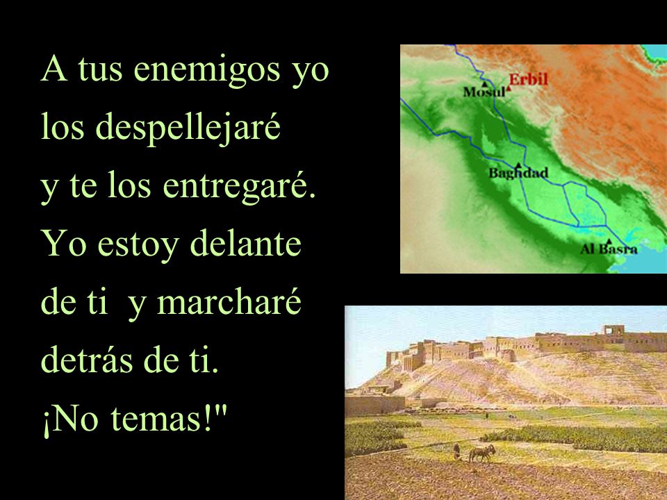 A tus enemigos yo los despellejaré y te los entregaré.