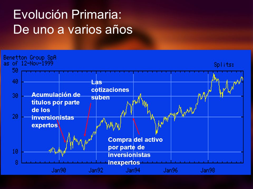 Evolución Primaria: De uno a varios años