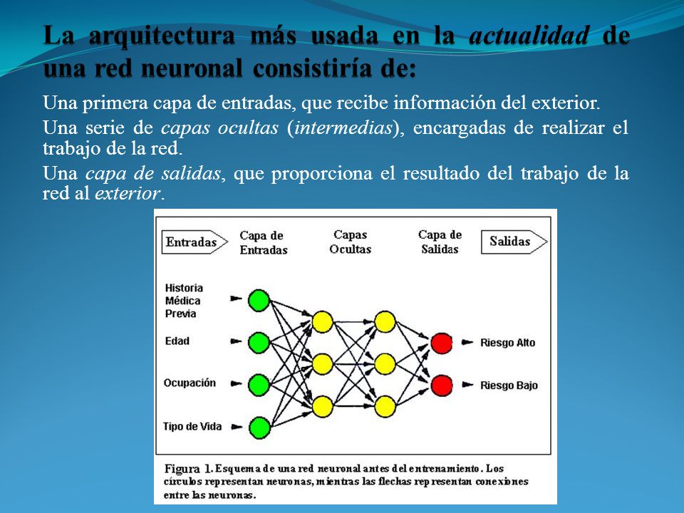 La arquitectura más usada en la actualidad de una red neuronal consistiría de: