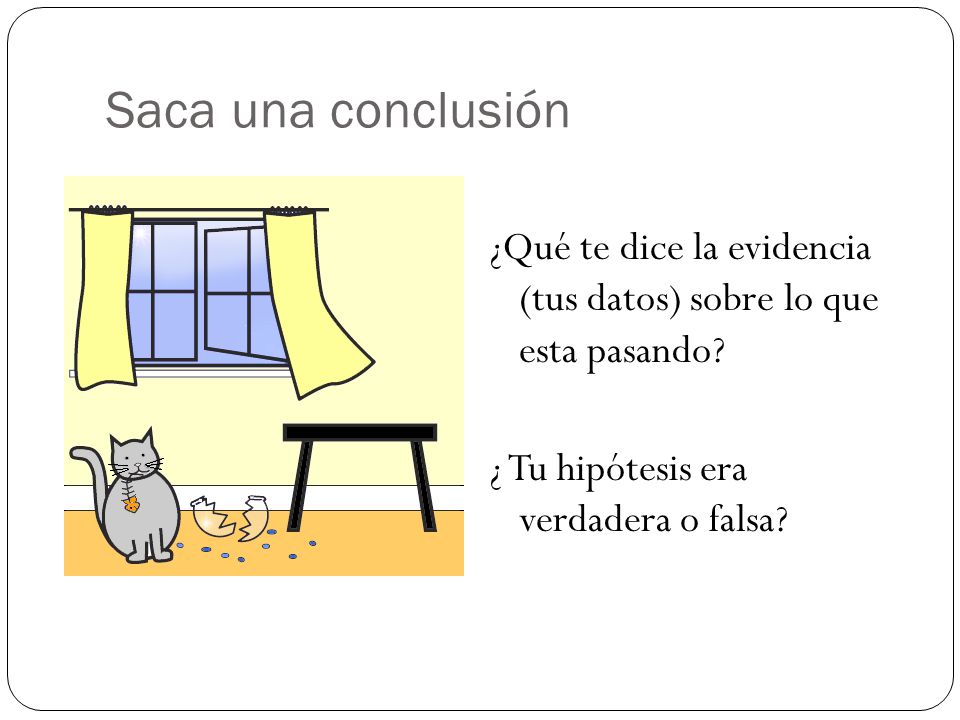 Saca una conclusión ¿Qué te dice la evidencia (tus datos) sobre lo que esta pasando.