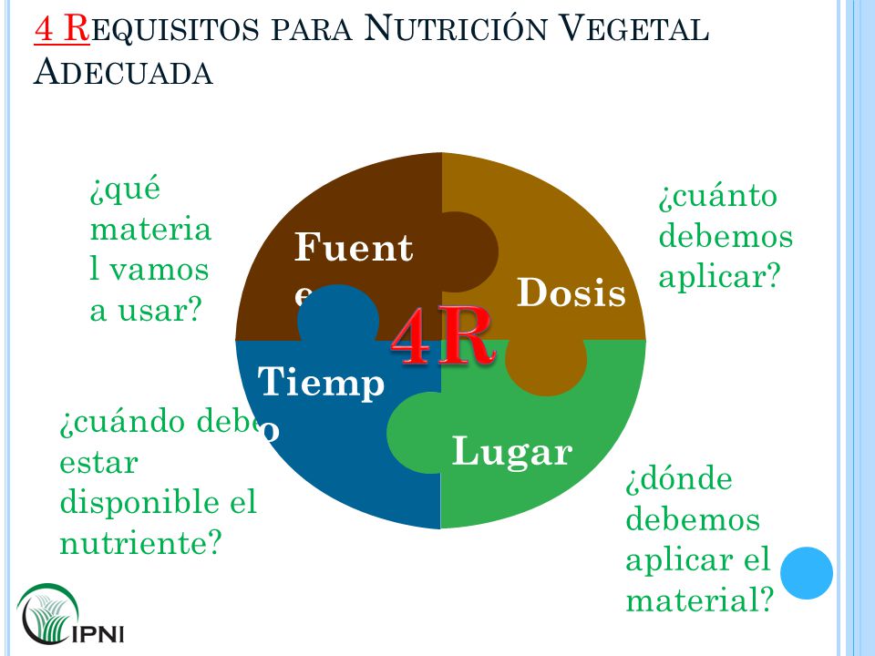 4 Requisitos para Nutrición Vegetal Adecuada