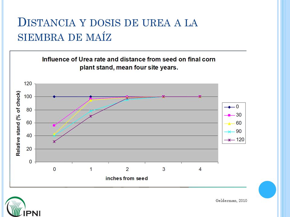 Distancia y dosis de urea a la siembra de maíz