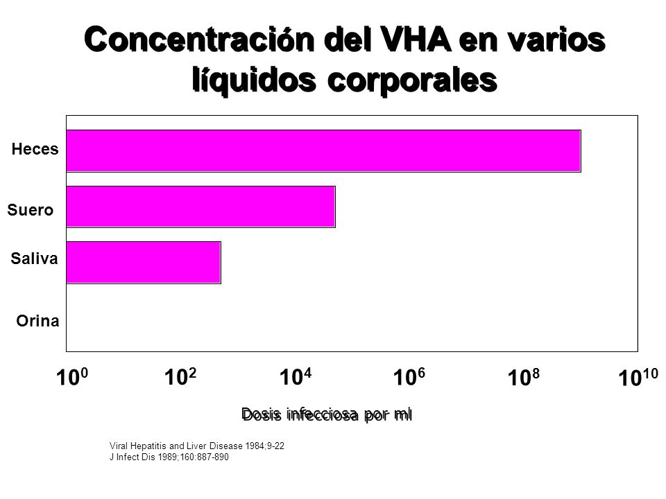Concentración del VHA en varios líquidos corporales