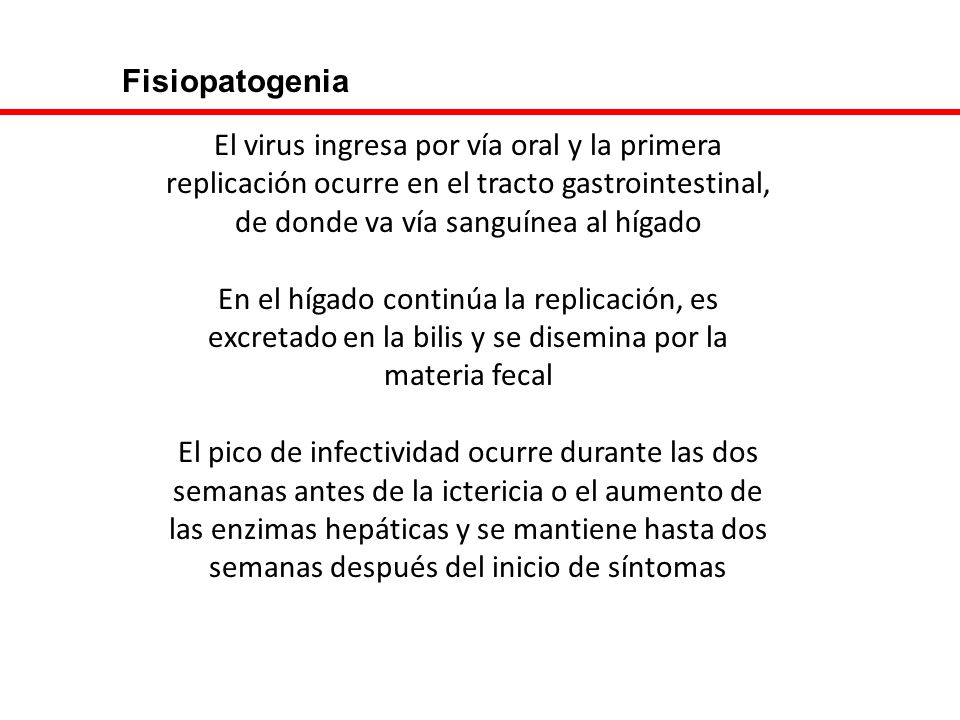 Fisiopatogenia El virus ingresa por vía oral y la primera replicación ocurre en el tracto gastrointestinal, de donde va vía sanguínea al hígado.