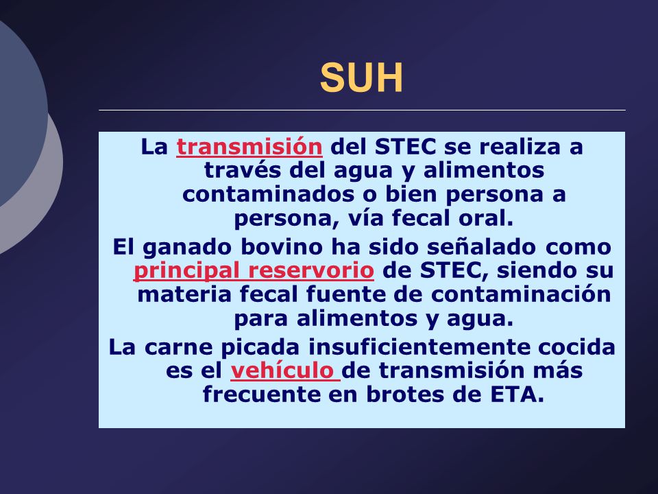 SUH La transmisión del STEC se realiza a través del agua y alimentos contaminados o bien persona a persona, vía fecal oral.